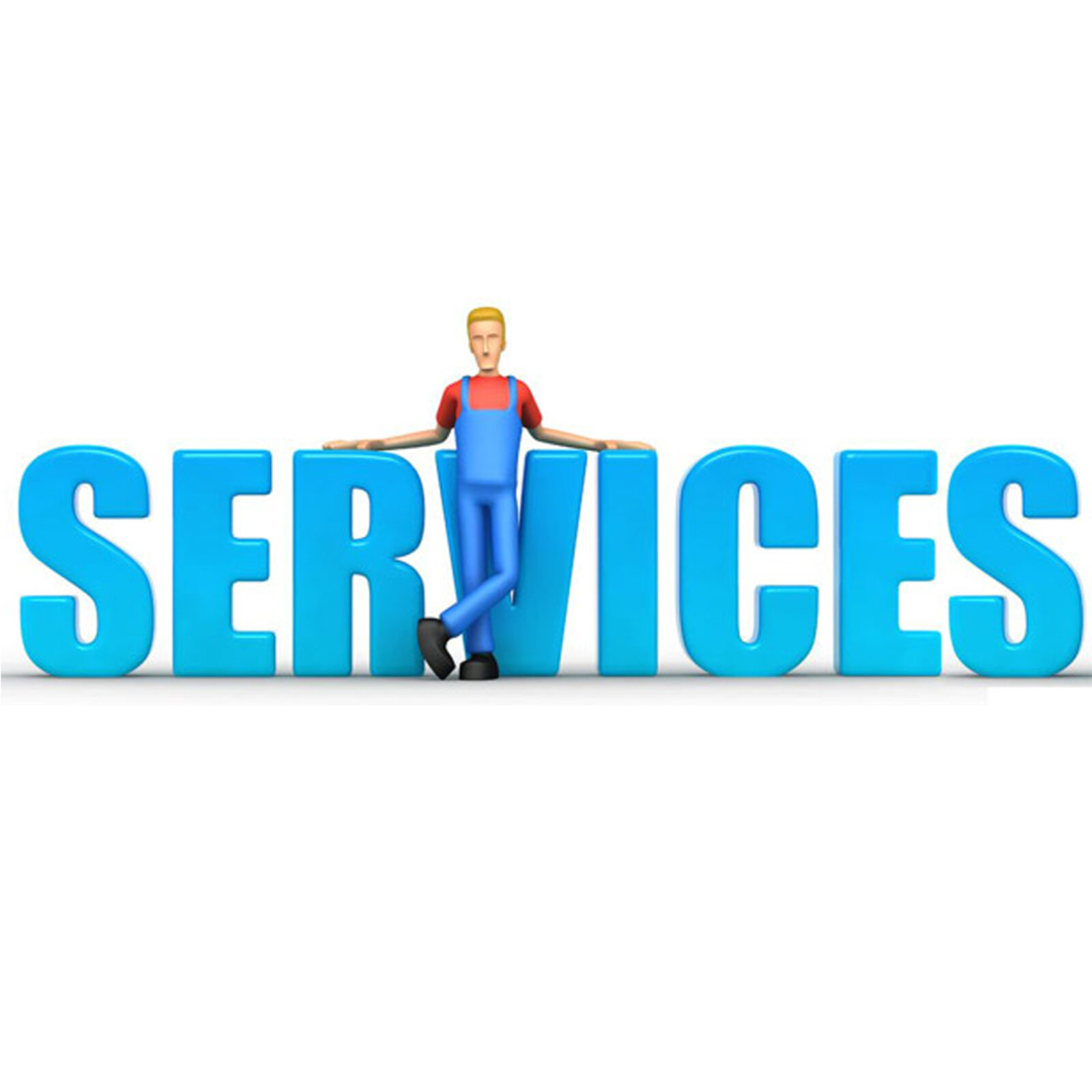 Servicios Profesionales de Goleta SEO